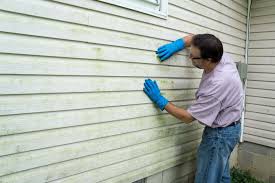 Best Siding Painting and Refinishing  in Custer, SD